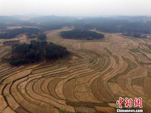 環(huán)保部原則通過農(nóng)用地土壤環(huán)境管理辦法草案，推動環(huán)境治理新階段