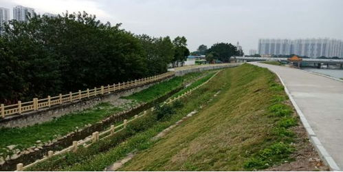治水攻堅戰｜新華街水環境治理進行時，12月13日戰報及環境檢測服務動態