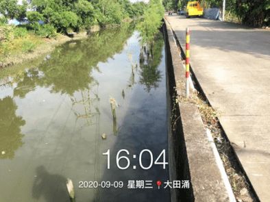 守護碧水清波 石岐河涌環境治理打響“四大戰役”，環境檢測服務保駕護航